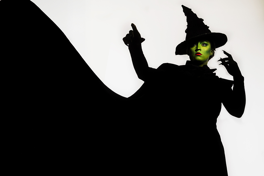 northern-virginia-studio-elphaba-photography-part2